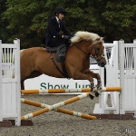 The National Side Saddle Show 2010 - Addington Manor Equestrian Centre in Buckingham England