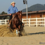JF Spooks Choice - Quarter Horse Hengst