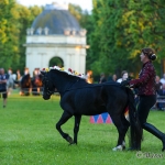 Herrenhäuser Gärten - Feuerwerk der Pferde 2013 - Ponybild Lan
