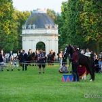 Herrenhäuser Gärten - Feuerwerk der Pferde 2013 - Ponybild Lan