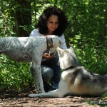 Saphira (Husky) und Dana (Galgo)