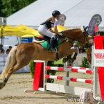 CRVD Springturnier - Pony und Haflinger Standardspringpr