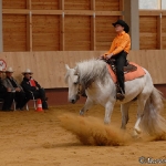 Western Riding Certifikat 2007 - DQH
