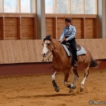 Western Riding Certifikat 2007 - DQH